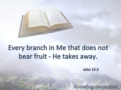 Every branch in Me that does not bear fruit He takes away.